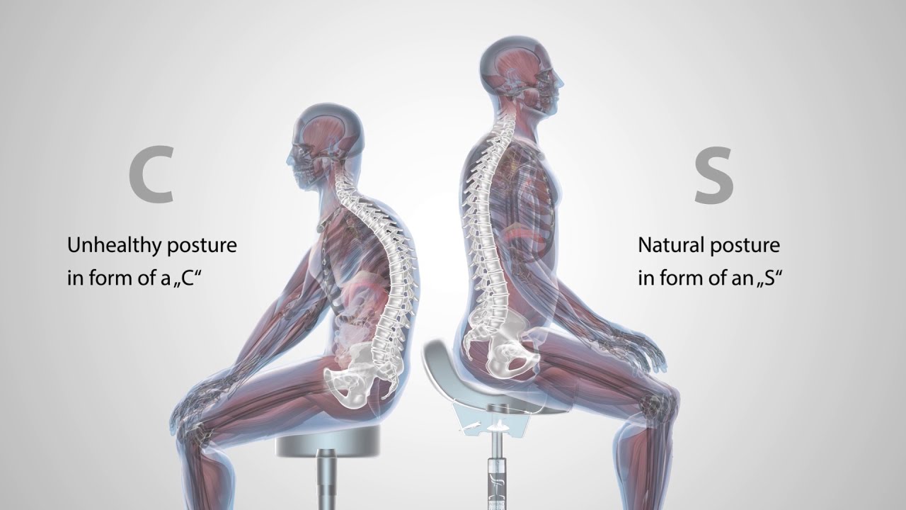 Bambach Saddle Seat - GB